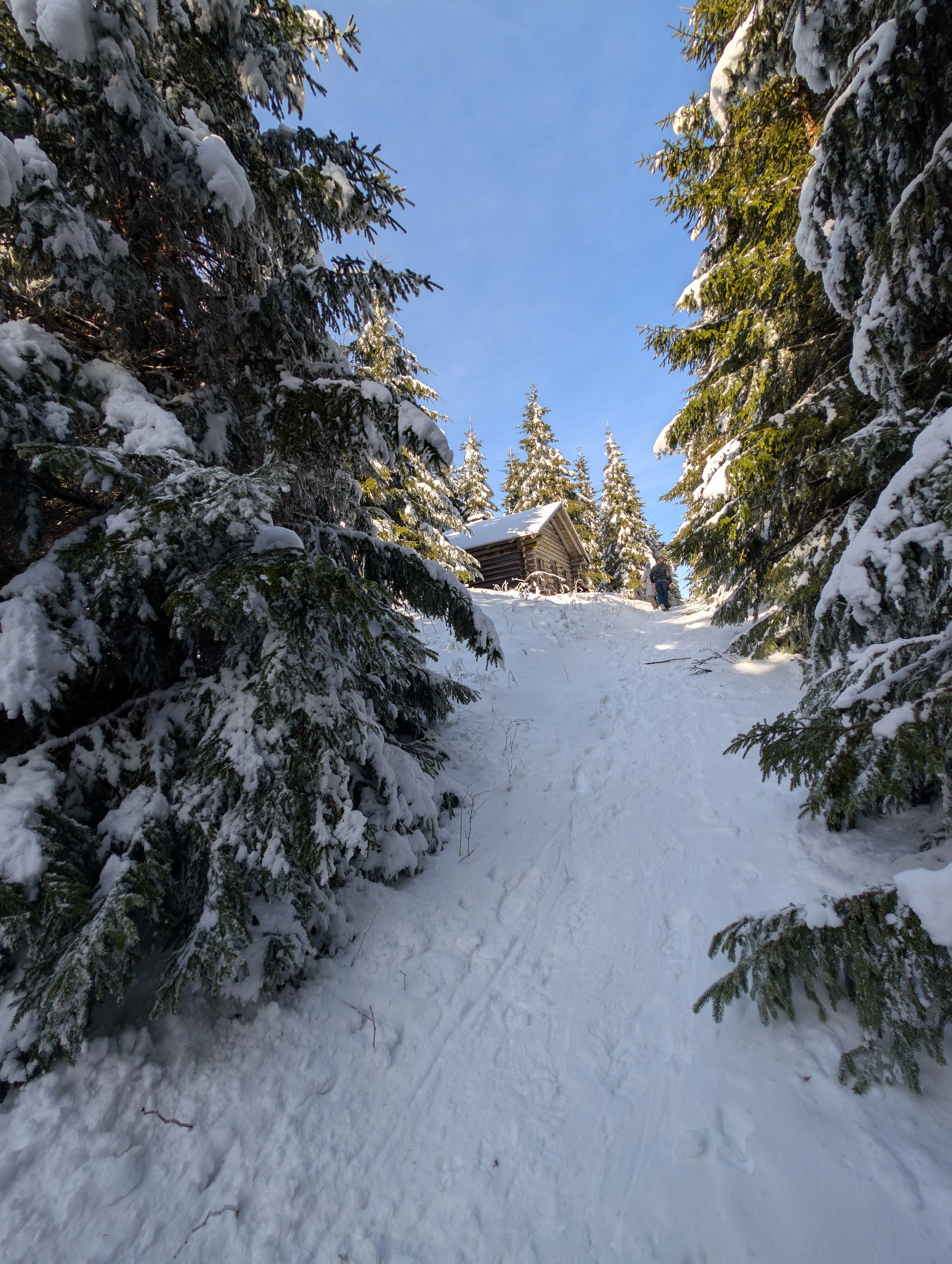 Berghütte am Wegesrand